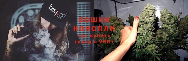 spice Билибино
