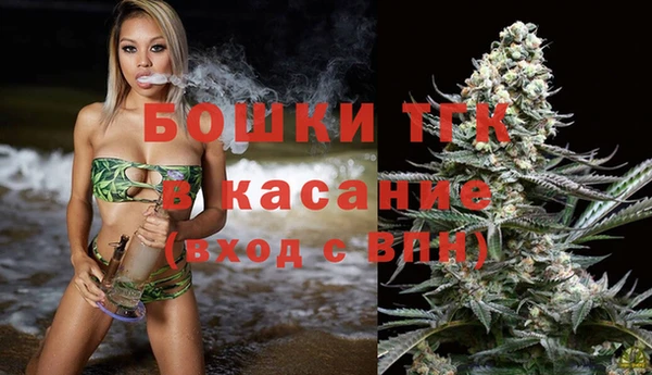 крисы Корсаков