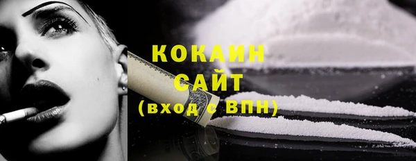 индика Абинск