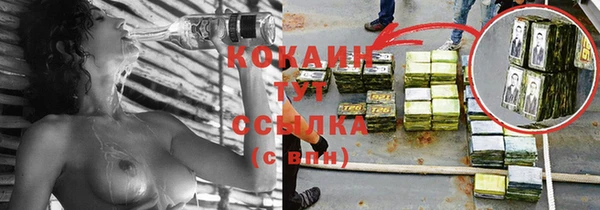 шишки Протвино