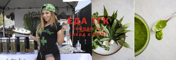 индика Абинск