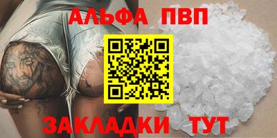 гашик Шелехов