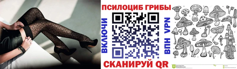 Псилоцибиновые грибы Psilocybe  дарнет шоп  Киржач 