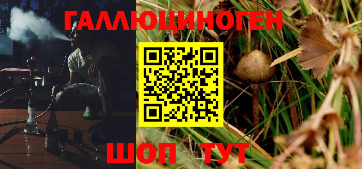 Галлюциногенные грибы мицелий Киржач
