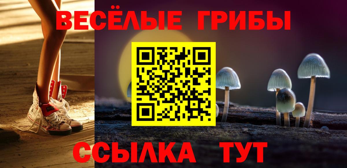 Галлюциногенные грибы ЛСД  Галлюциногенные грибы мицелий  дарнет шоп  Киржач  Вход с VPN 